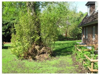 Ferienwohnung Nebel Außenaufnahme 8
