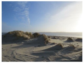 Ferienwohnung Nebel Außenaufnahme 16