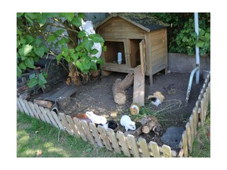 Ferienwohnung Dahme Außenaufnahme 4
