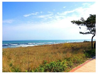 Ferienwohnung Juliusruh Außenaufnahme 10