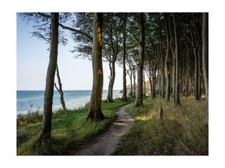 Ferienwohnung Trassenheide Außenaufnahme 21