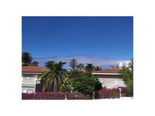 Ferienwohnung Puerto de la Cruz Außenaufnahme 11