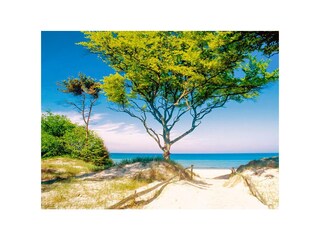 Ferienwohnung Prerow Außenaufnahme 13