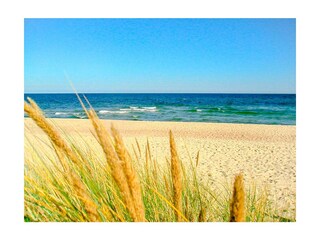 Ferienwohnung Prerow Außenaufnahme 14