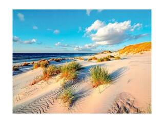 Ferienwohnung Prerow Außenaufnahme 15