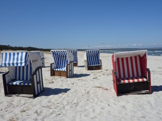 Appartement de vacances Zingst Environnement 23