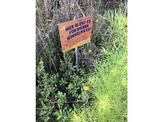 Ferienwohnung Boltenhagen Außenaufnahme 19