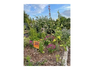 Ferienwohnung Boltenhagen Außenaufnahme 20