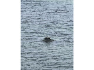 Ferienwohnung Boltenhagen Außenaufnahme 23