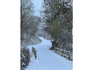Ferienwohnung Boltenhagen Außenaufnahme 24