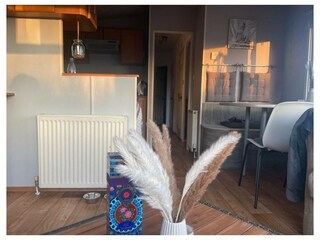 Ferienwohnung Wissenkerke Außenaufnahme 7