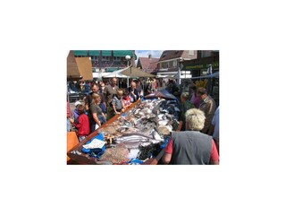 Ferienwohnung Egmond aan Zee Außenaufnahme 24