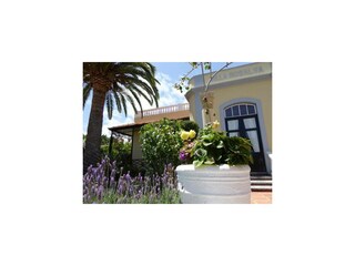 Ferienwohnung Puerto de la Cruz Außenaufnahme 1