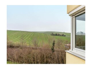 Ferienwohnung Meersburg Außenaufnahme 27