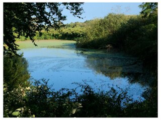 Ferienwohnung Bastorf Außenaufnahme 11