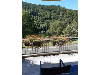 Ferienwohnung Ediger-Eller Außenaufnahme 3