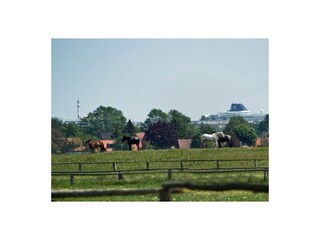 Ferienwohnung Warnemünde Außenaufnahme 19