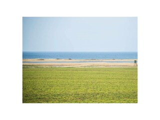 Ferienwohnung Kägsdorf Außenaufnahme 4