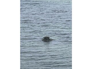 Ferienwohnung Boltenhagen Außenaufnahme 15