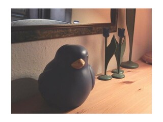 Ferienwohnung Prerow Außenaufnahme 7
