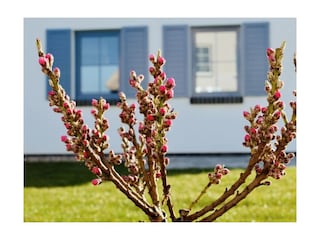 Ferienwohnung Dranske Außenaufnahme 17