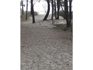 Ferienwohnung Karlshagen Außenaufnahme 15