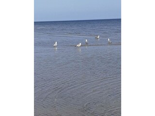 Ferienwohnung Karlshagen Außenaufnahme 18