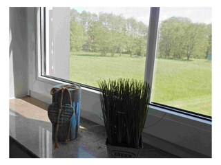 Ferienwohnung Prerow Außenaufnahme 7