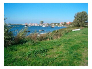 Ferienwohnung Rerik Außenaufnahme 11