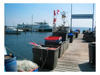 Ferienwohnung Rerik Außenaufnahme 13