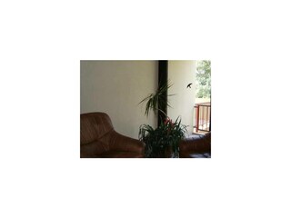 Ferienwohnung Steinhude Außenaufnahme 42