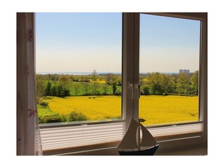 Ferienwohnung Meeschendorf Außenaufnahme 4