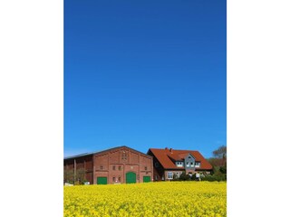 Ferienwohnung Meeschendorf Außenaufnahme 18
