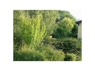 Ferienwohnung Peschiera del Garda Außenaufnahme 3