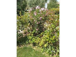 Ferienwohnung Peschiera del Garda Außenaufnahme 13