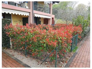 Ferienwohnung Peschiera del Garda Außenaufnahme 14