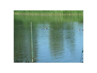 Ferienwohnung Otterndorf Außenaufnahme 18