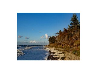 Ferienwohnung Graal-Müritz Außenaufnahme 19