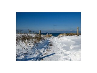 Ferienwohnung Graal-Müritz Außenaufnahme 25