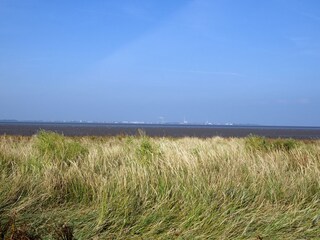Vakantiehuis Dangast Omgeving 24