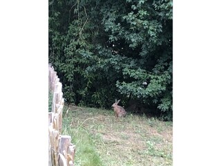 Ferienwohnung Boltenhagen Außenaufnahme 13