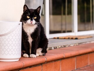 Appartamento per vacanze Livorno Registrazione all'aperto 16