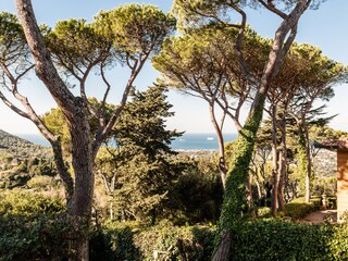 Appartement de vacances Livorno Enregistrement extérieur 9