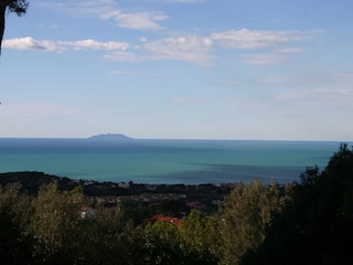 Ausblick vom Garten