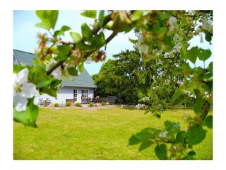 Ferienwohnung Putbus Außenaufnahme 20