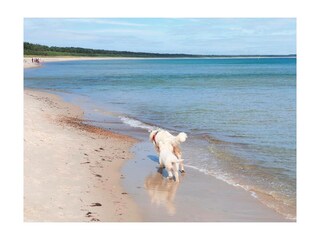 Ferienwohnung Putbus Außenaufnahme 24