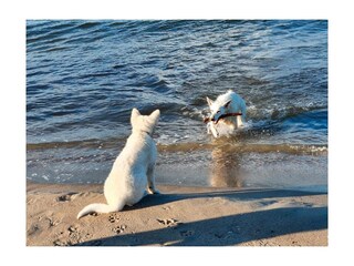 Ferienwohnung Putbus Außenaufnahme 25
