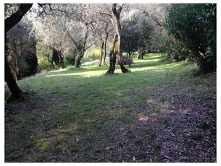 Ferienwohnung Torri del Benaco Außenaufnahme 8