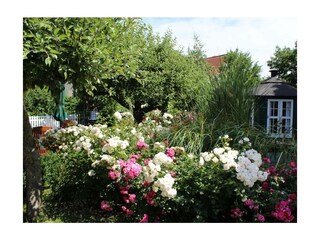 Ferienwohnung Schwienkuhl Außenaufnahme 23