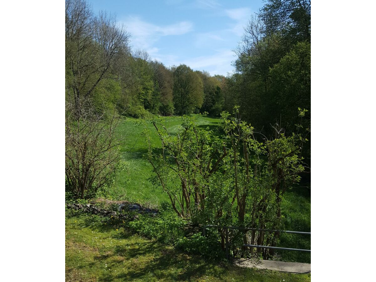 Ferienwohnung inmitten der Natur im Brohlbachtal